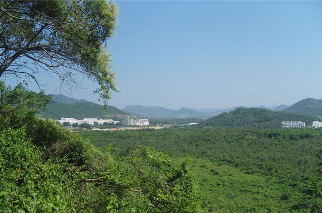 RNLPRH01131406.jpg